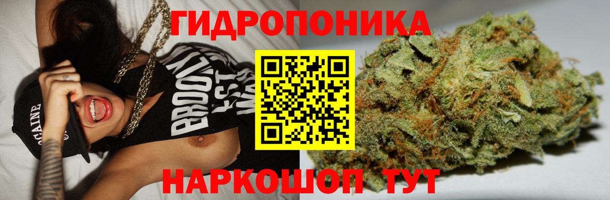 Шишки марихуана White Widow Алушта